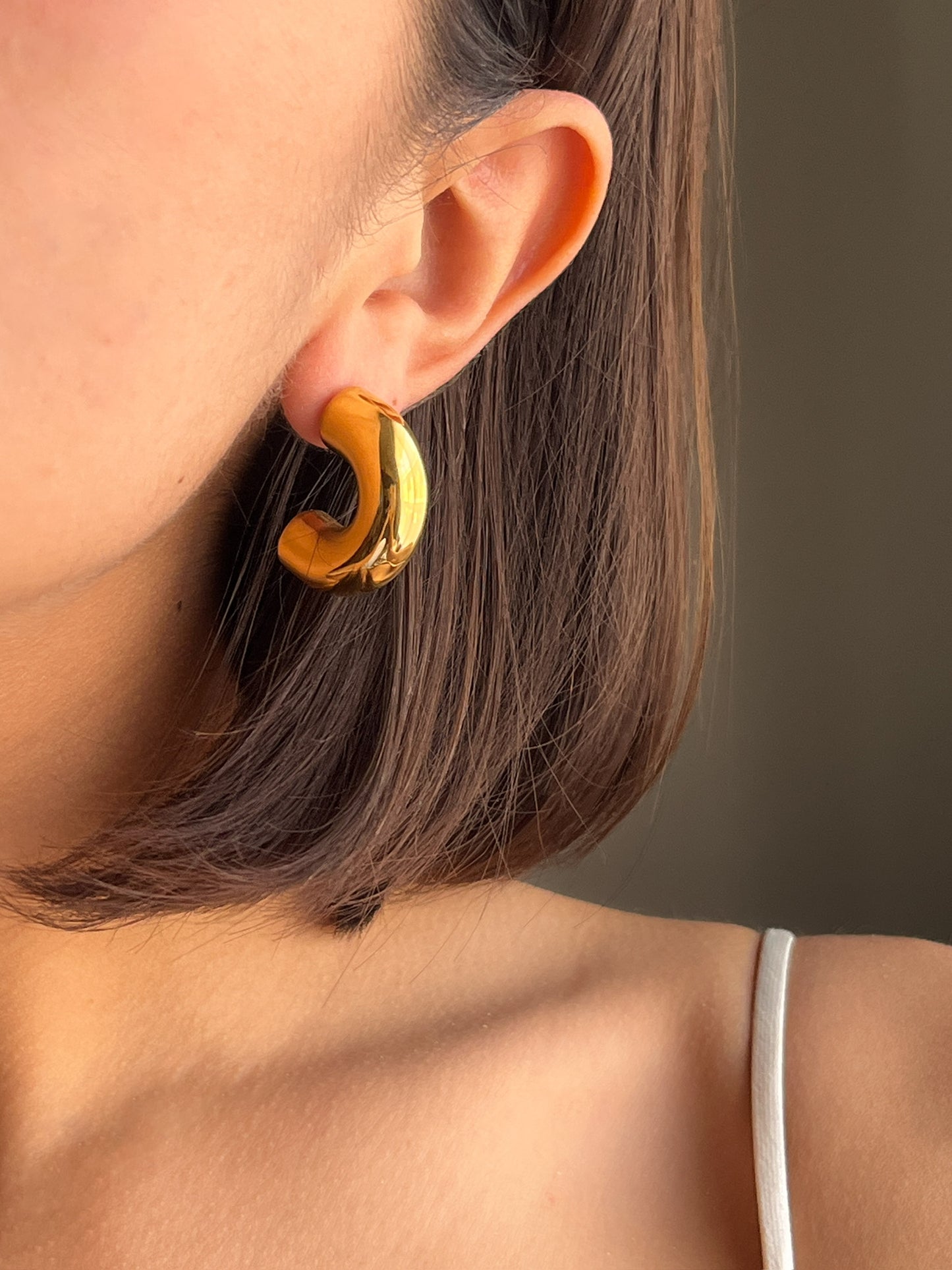 Aretes Lunaris