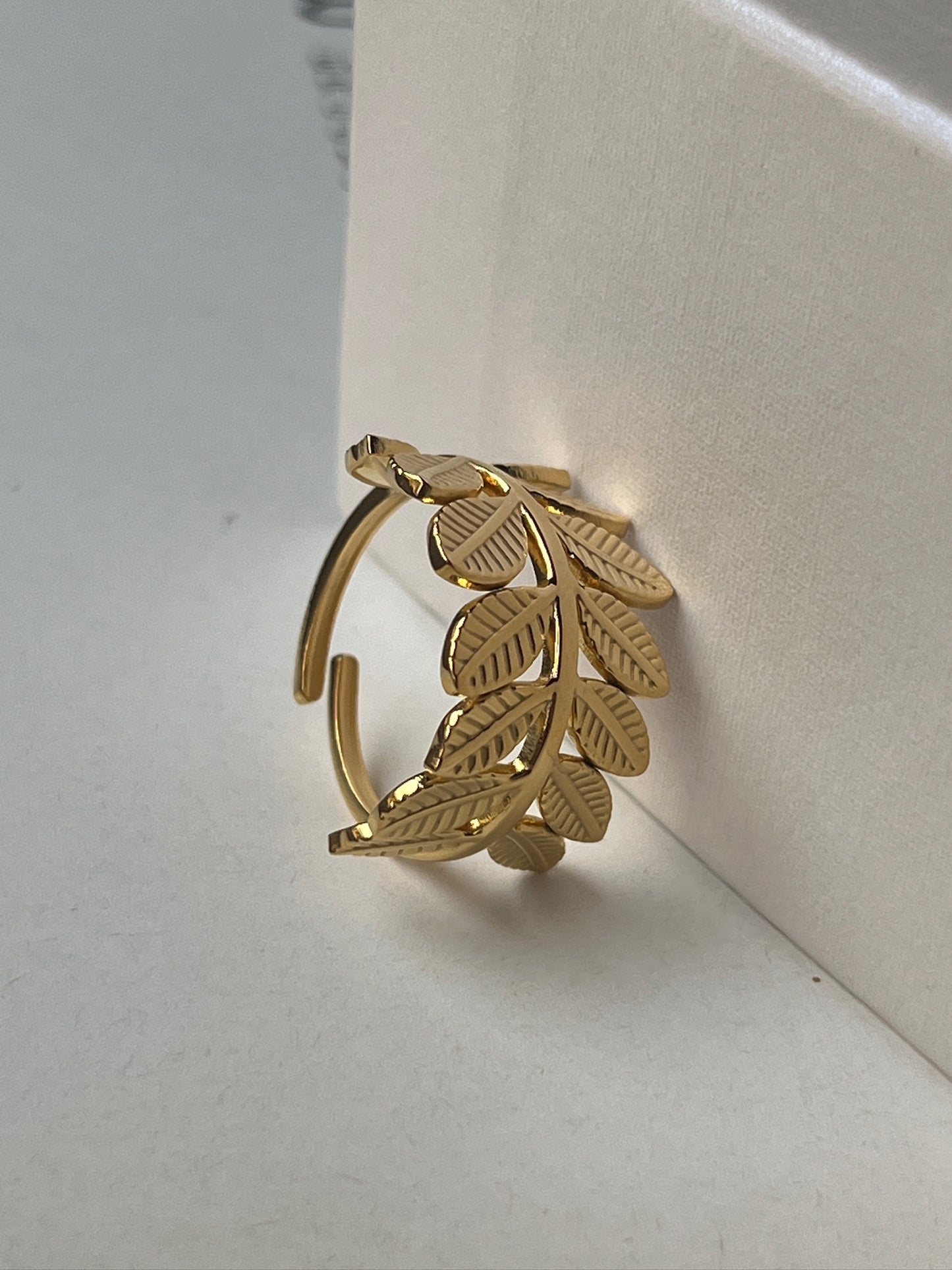 Anillo Olimpo