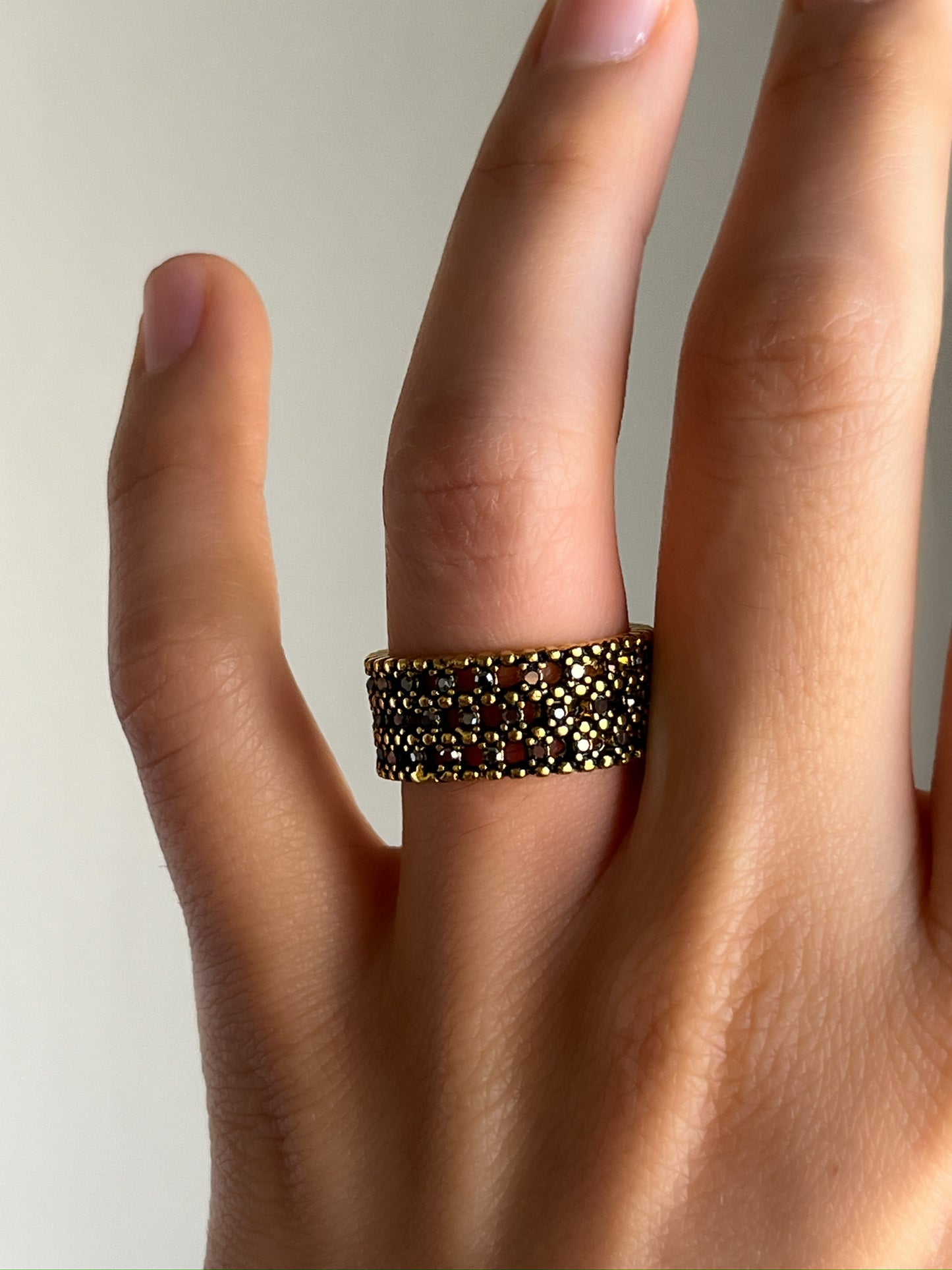 Anillo Polaris