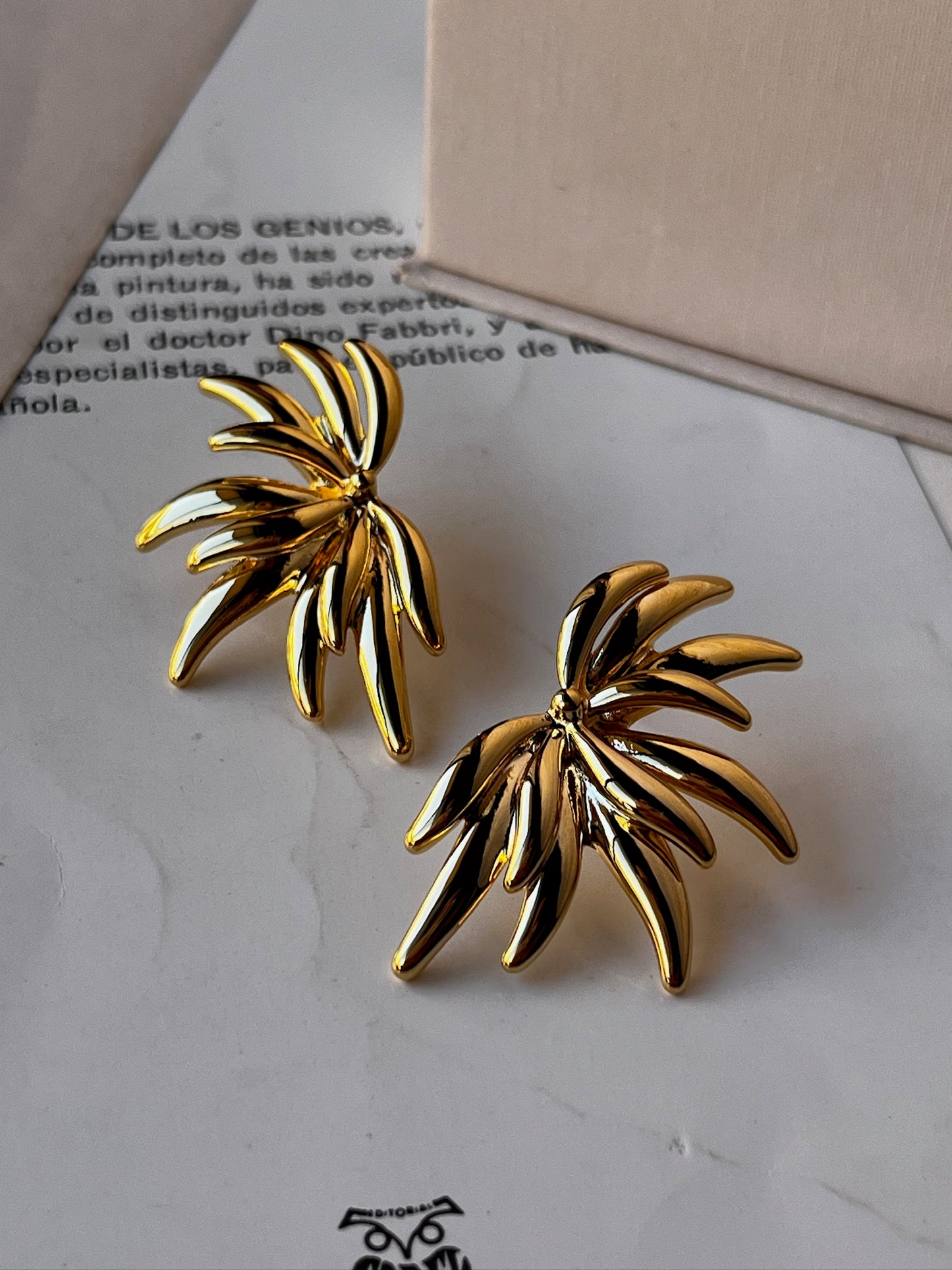 Aretes Rio