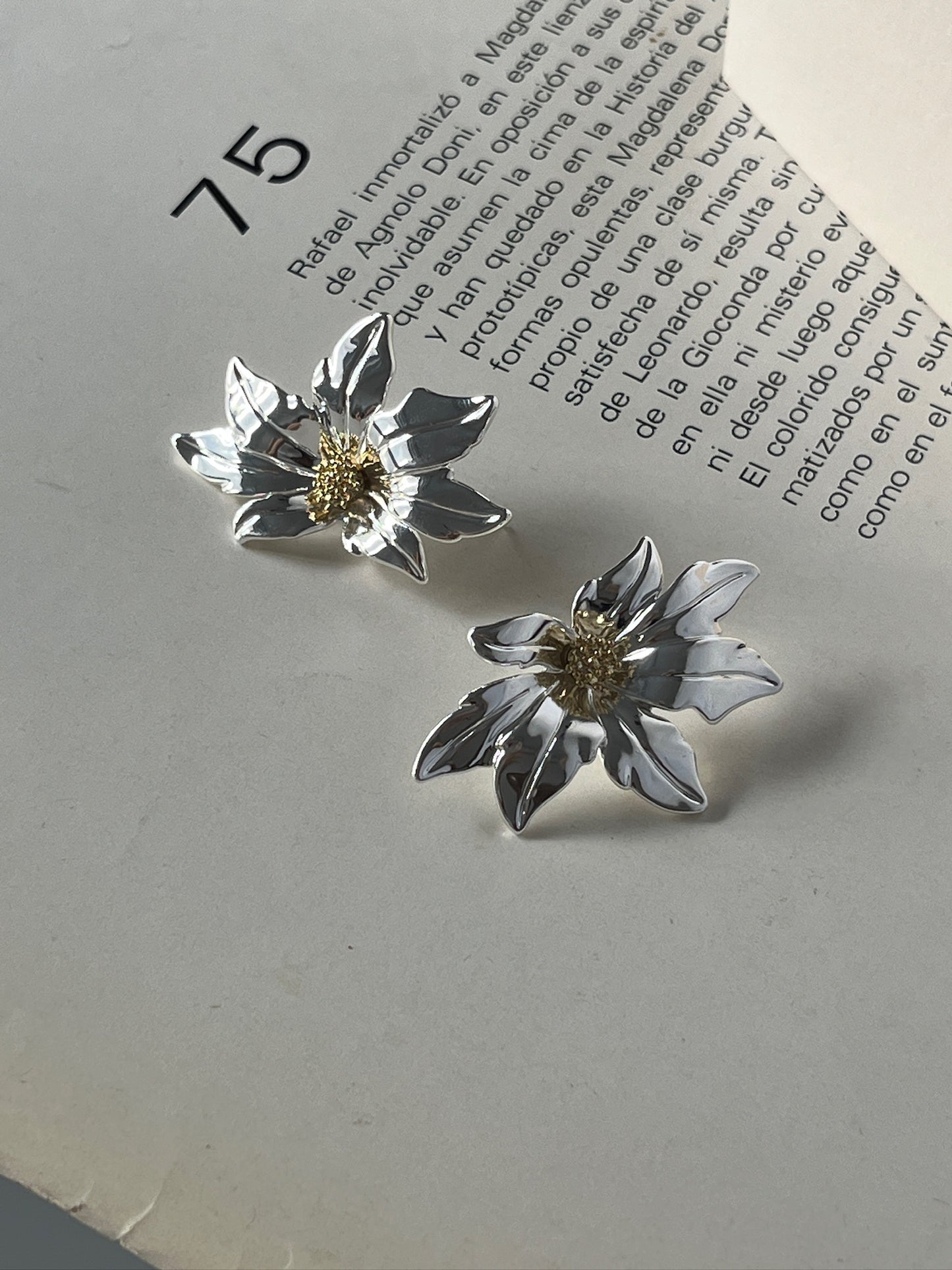 Aretes Ambar