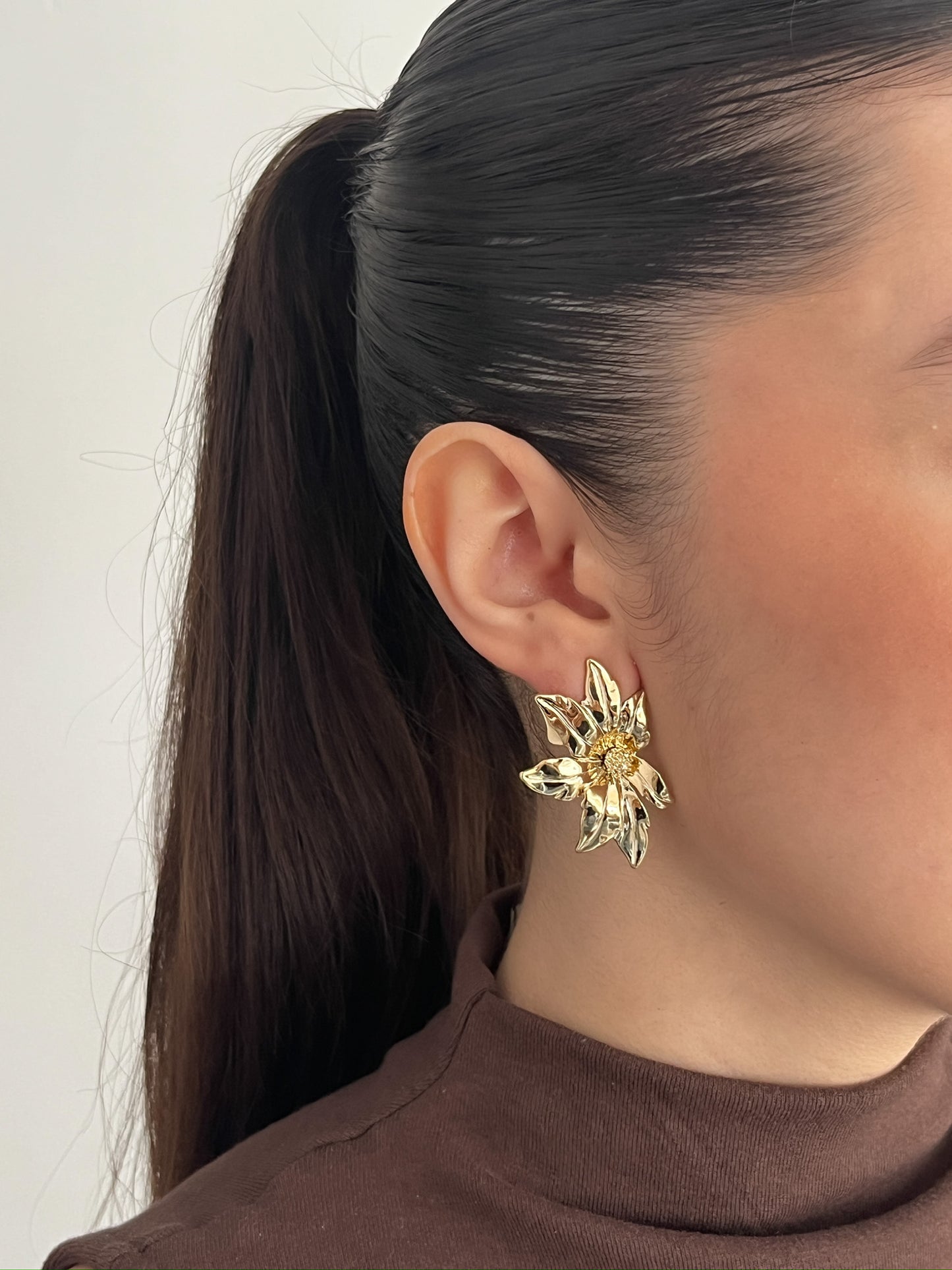 Aretes Ambar