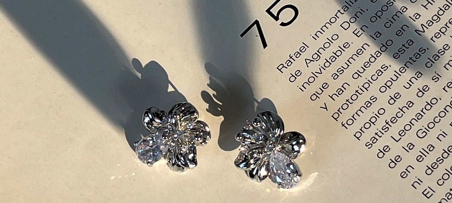 Aretes Noa