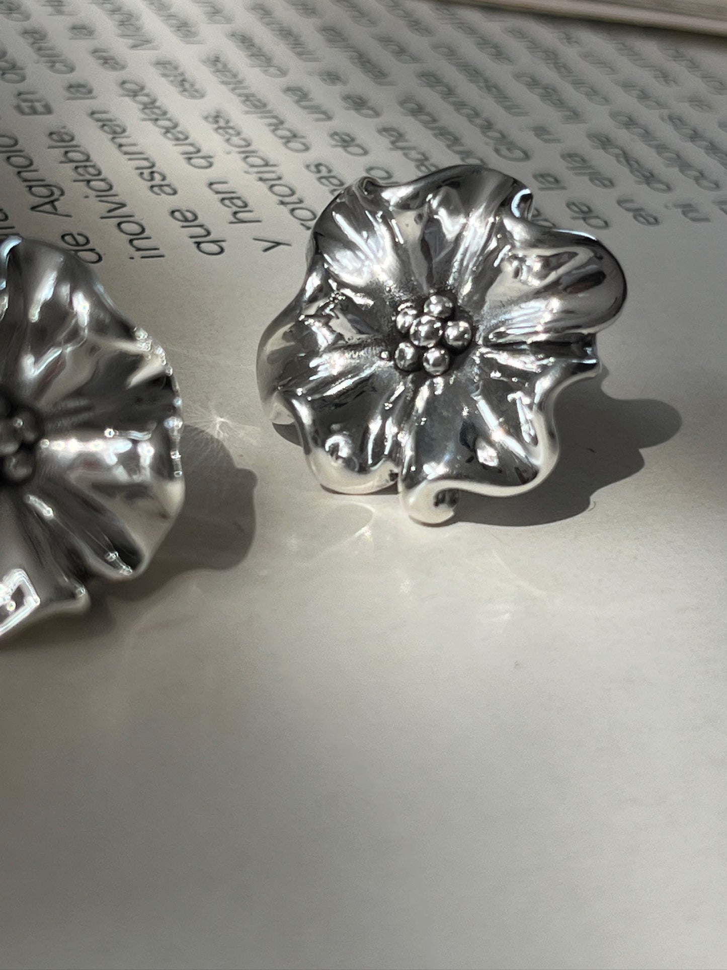 Aretes Rayo Sereno