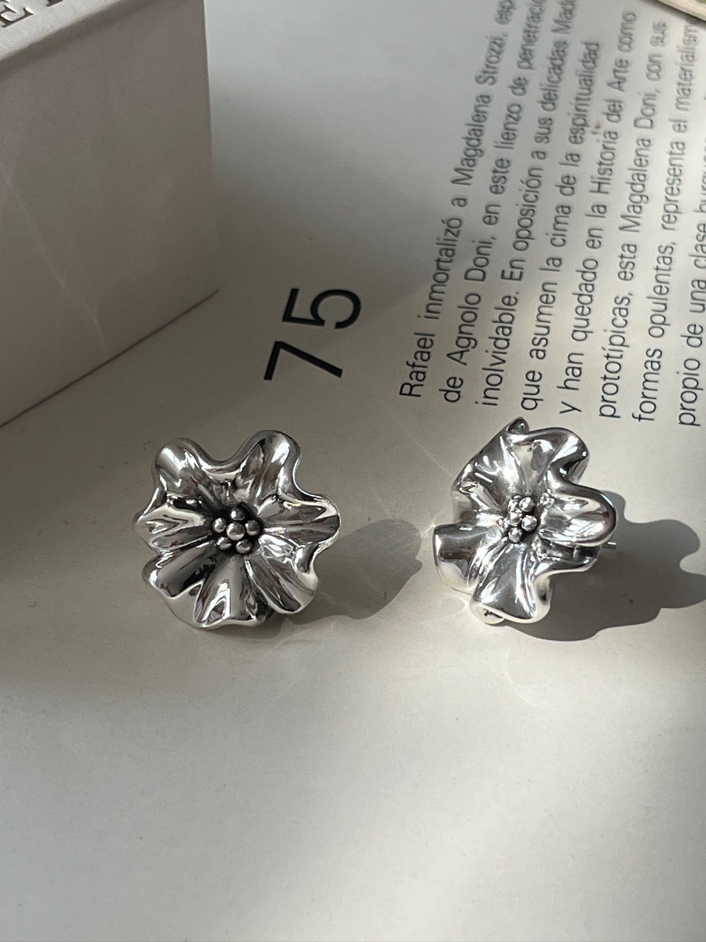 Aretes Rayo Sereno