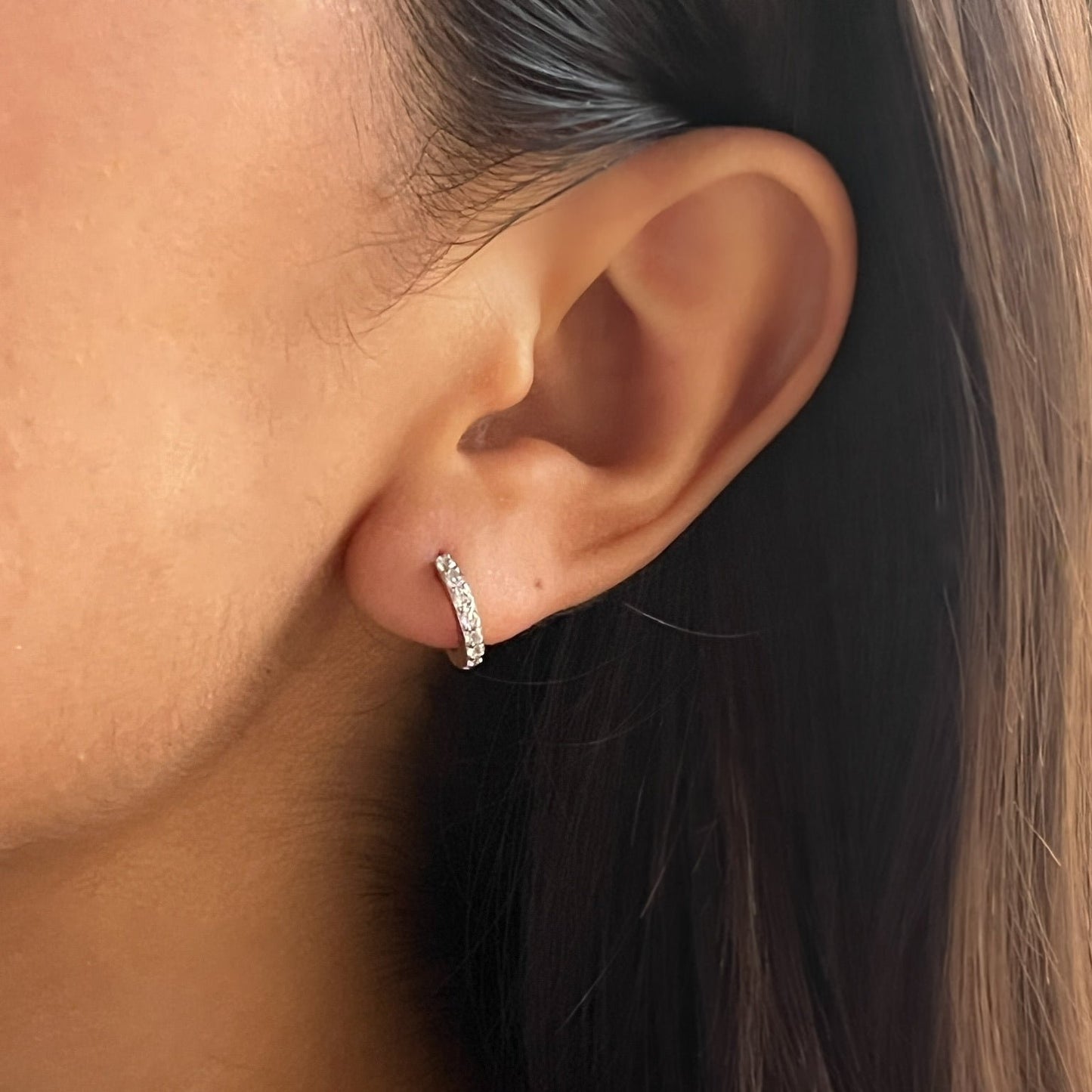 Aretes Eugenia