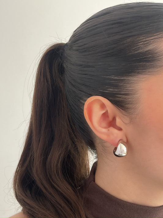 Aretes Colibrí de Plata