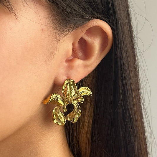 Aretes Nélida