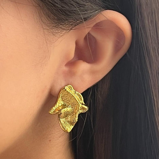 Aretes Oba