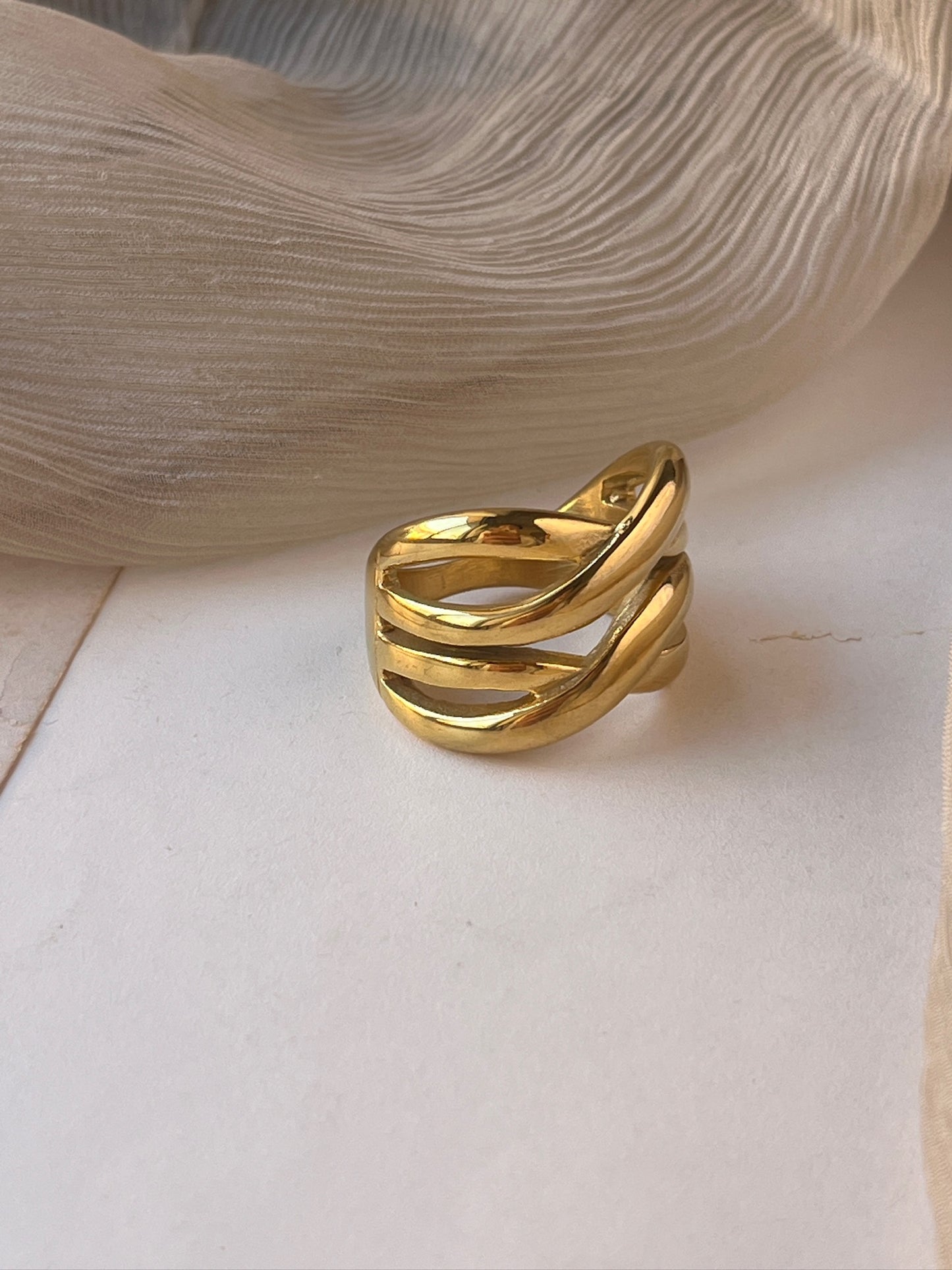 Anillo Vega