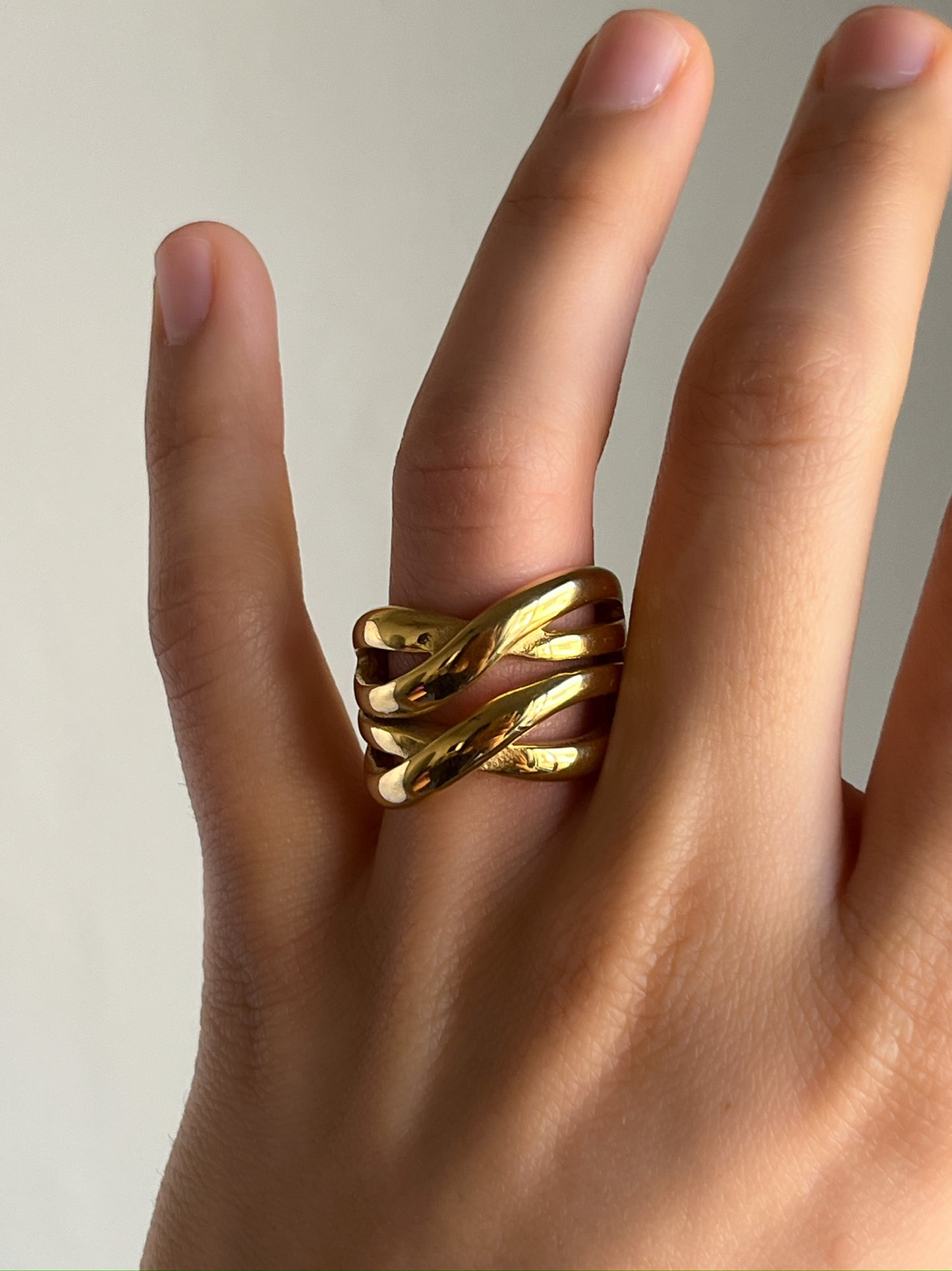 Anillo Vega