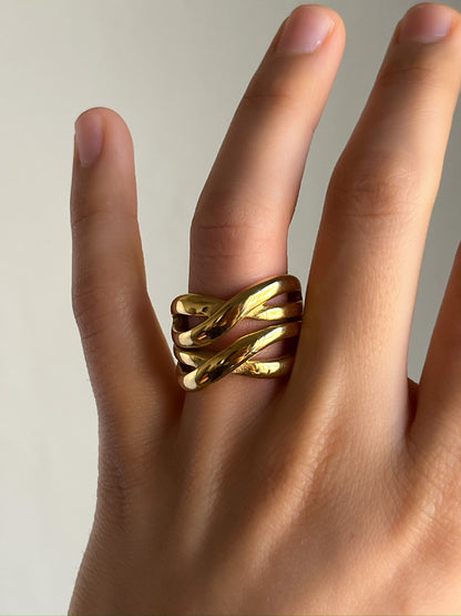 Anillo Vega