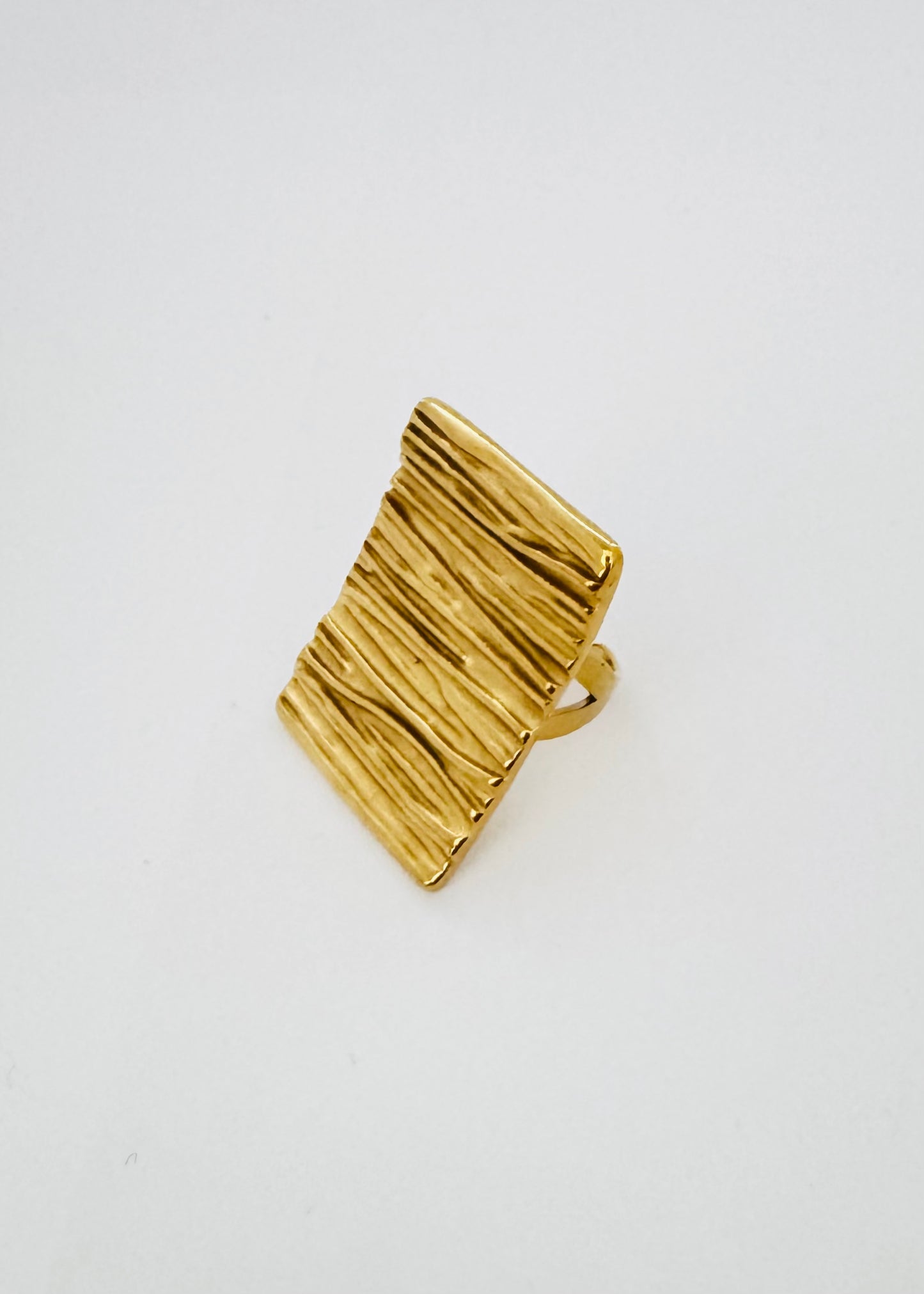 SIENA