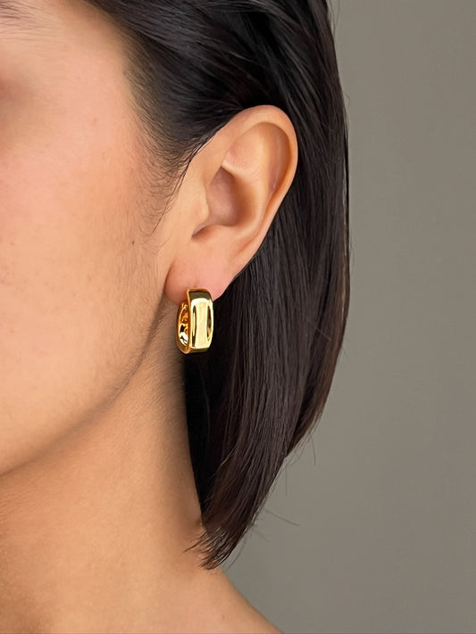 Aretes Noemi