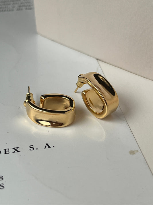 Aretes Noemi
