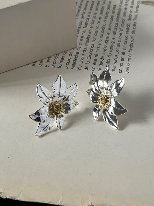 Aretes Ambar