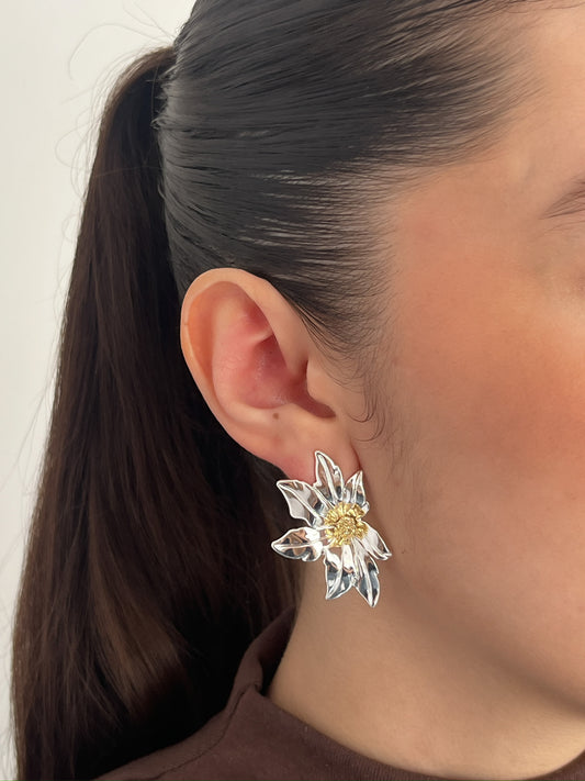 Aretes Ambar