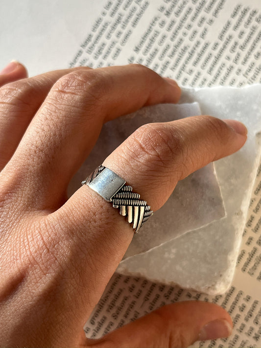 Anillo Contraste