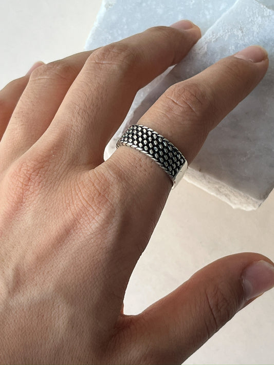 Anillo Bastión