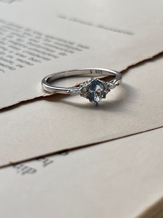 Anillo Ester
