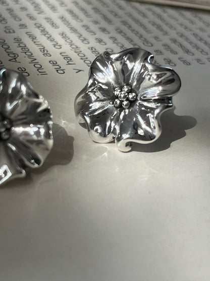 Aretes Rayo Sereno