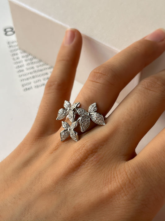Anillo Bari