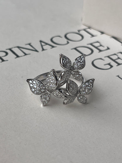Anillo Bari
