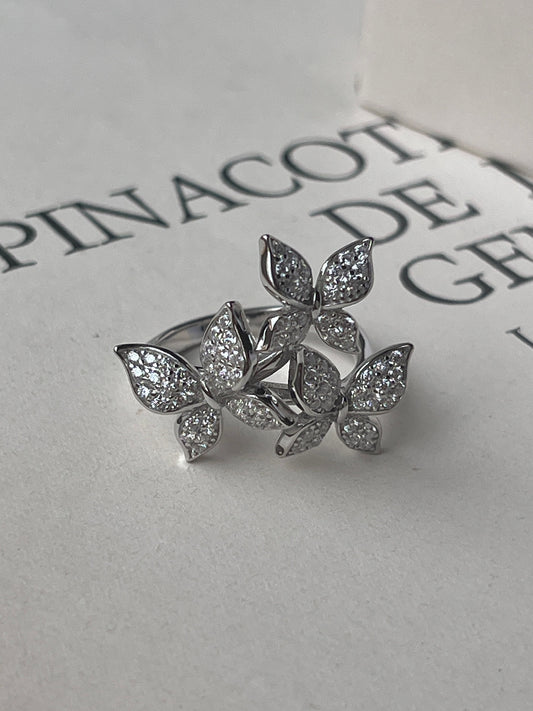 Anillo Bari