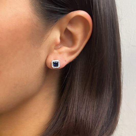 Aretes Cas