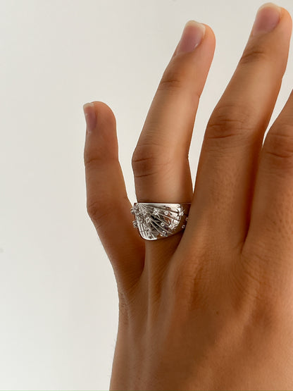 Anillo Luz del Norte