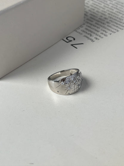 Anillo Luz del Norte
