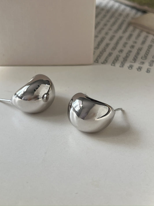 Aretes Colibrí de Plata